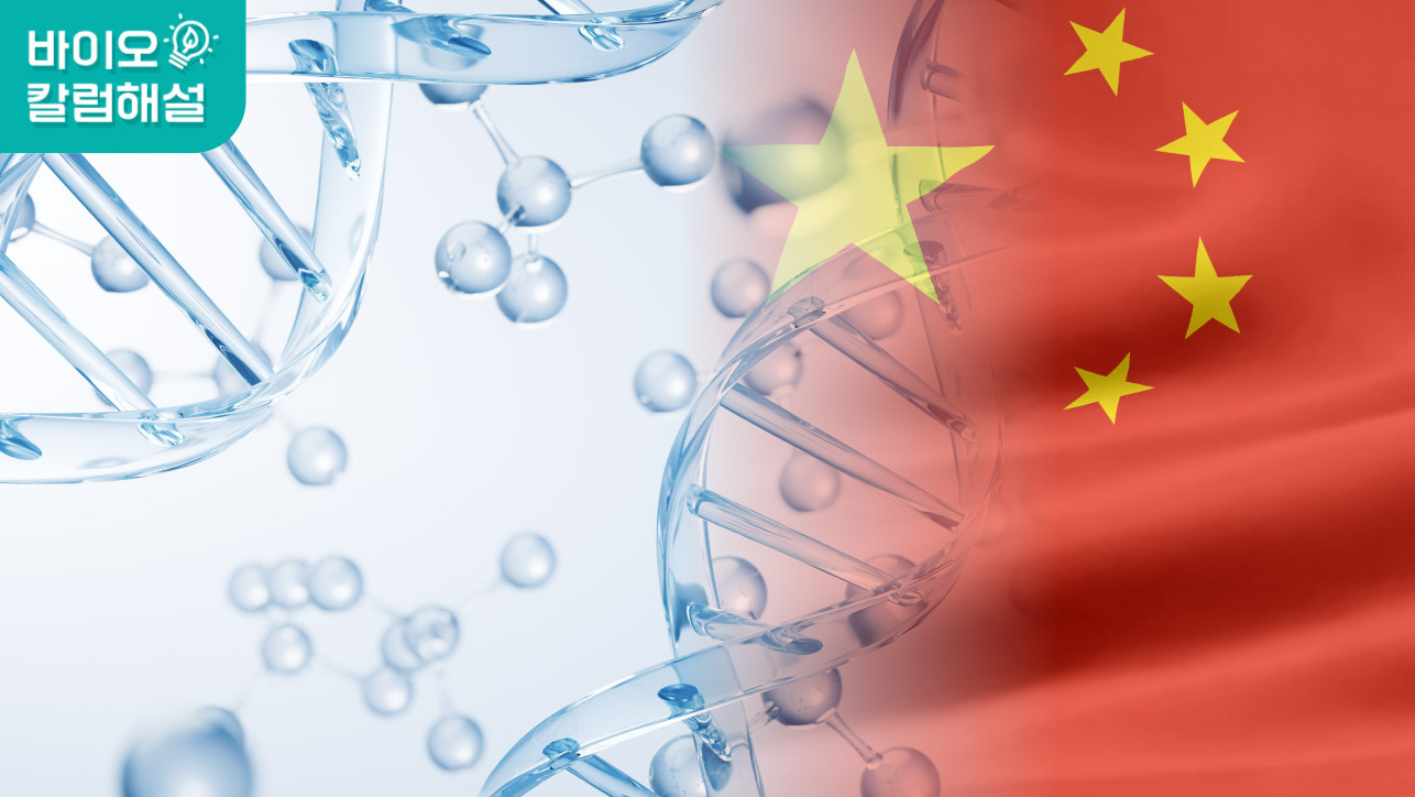 ▶당신만 모르는 중국에서 올타임 하이를 찍고 있는 바이오 기업! 해설영상